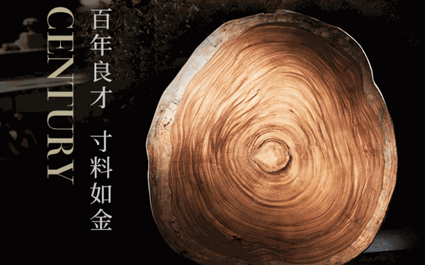 金凯莎欧式家具